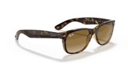 Light Brown Gradient Lenses, Polished Light Havana Frame