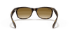 [Light Brown Gradient Lenses, Polished Light Havana Frame]