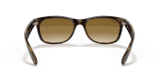 Light Brown Gradient Lenses, Polished Light Havana Frame