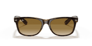 Light Brown Gradient Lenses, Polished Light Havana Frame