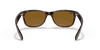 [B-15 Brown Lenses, Polished Light Havana Frame]