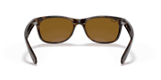 B-15 Brown Lenses, Polished Light Havana Frame