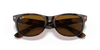 [B-15 Brown Lenses, Polished Light Havana Frame]