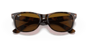 B-15 Brown Lenses, Polished Light Havana Frame