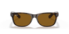 [B-15 Brown Lenses, Polished Light Havana Frame]