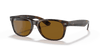 [B-15 Brown Lenses, Polished Light Havana Frame]