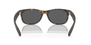 Dark Grey Lenses, Matte Havana Frame