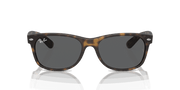 Dark Grey Lenses, Matte Havana Frame