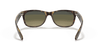 [Blue/Green Lenses, Matte Havana Frame]