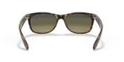 Blue/Green Lenses, Matte Havana Frame