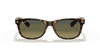 [Blue/Green Lenses, Matte Havana Frame]