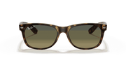 Blue/Green Lenses, Matte Havana Frame