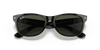 [G-15 Green Lenses, Polished Black Frame]