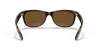 [B-15 Brown Lenses, Polished Tortoise Frame]