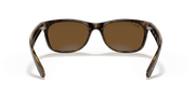 B-15 Brown Lenses, Polished Tortoise Frame