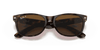 [B-15 Brown Lenses, Polished Tortoise Frame]