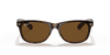 [B-15 Brown Lenses, Polished Tortoise Frame]