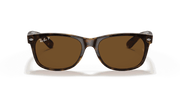 B-15 Brown Lenses, Polished Tortoise Frame