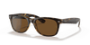 [B-15 Brown Lenses, Polished Tortoise Frame]