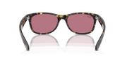 Violet/Gold Lenses, Polished Havana Frame