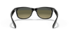 [Polarized Blue/Green Gradient Lenses, Polished Black Frame]