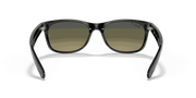 Polarized Blue/Green Gradient Lenses, Polished Black Frame