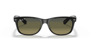 Polarized Blue/Green Gradient Lenses, Polished Black Frame