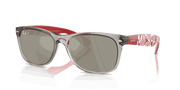 Grey Mirror Silver - Polar Lenses, Polished Transparent Grey Frame