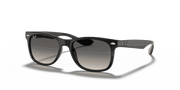 Light Grey/Dark Grey Lenses, Polished Black Frame