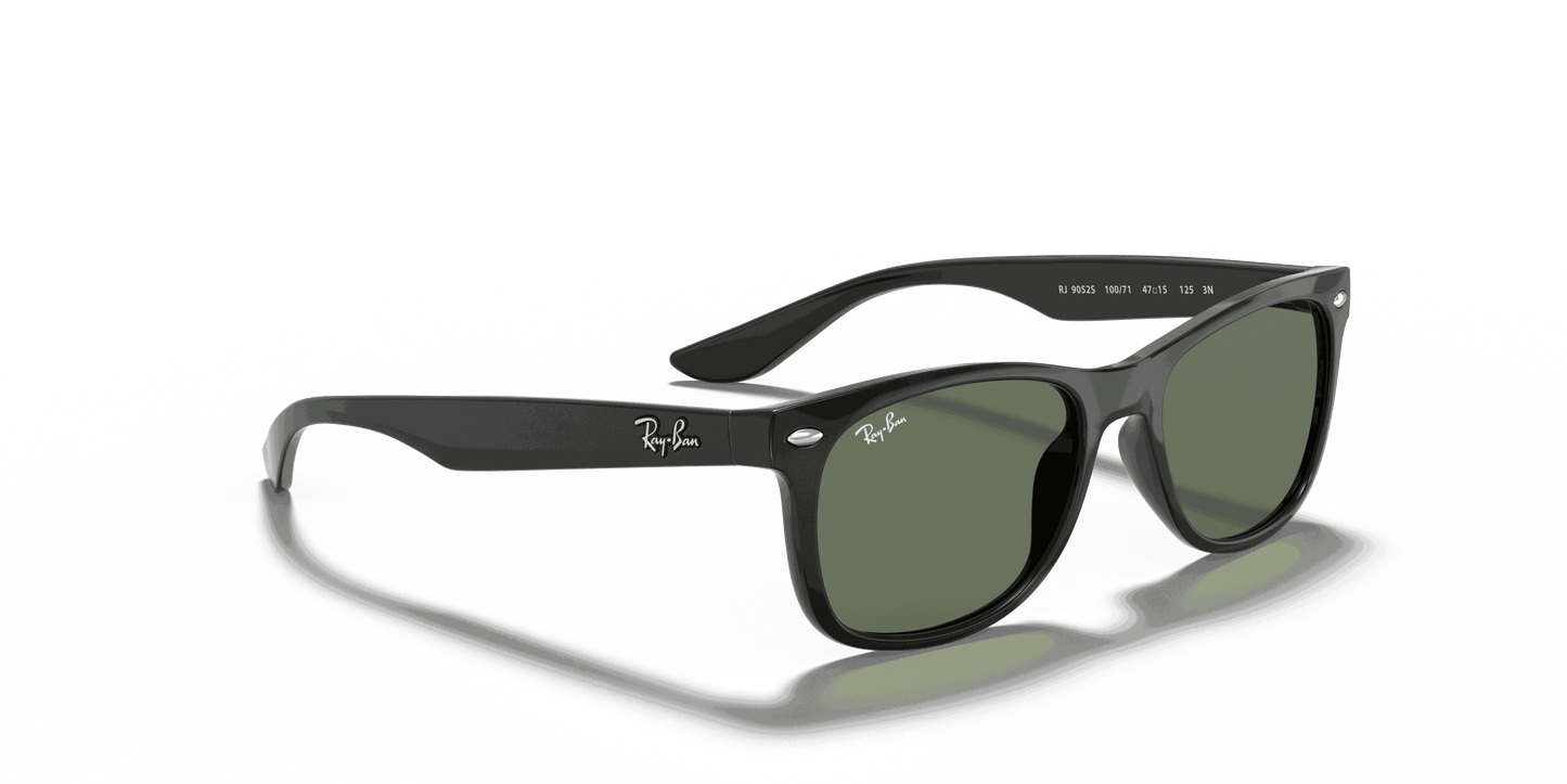 [Dark Green Lenses, Polished Black Frame]
