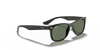 [Dark Green Lenses, Polished Black Frame]