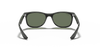 [Dark Green Lenses, Polished Black Frame]