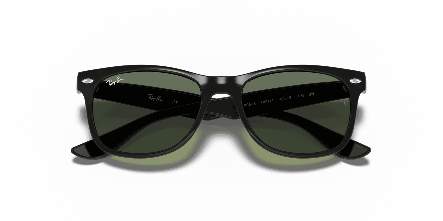 [Dark Green Lenses, Polished Black Frame]
