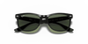 [Dark Green Lenses, Polished Black Frame]