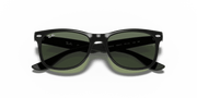 Dark Green Lenses, Polished Black Frame