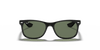 [Dark Green Lenses, Polished Black Frame]