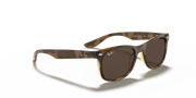 Dark Brown Lenses, Polished Havana Frame