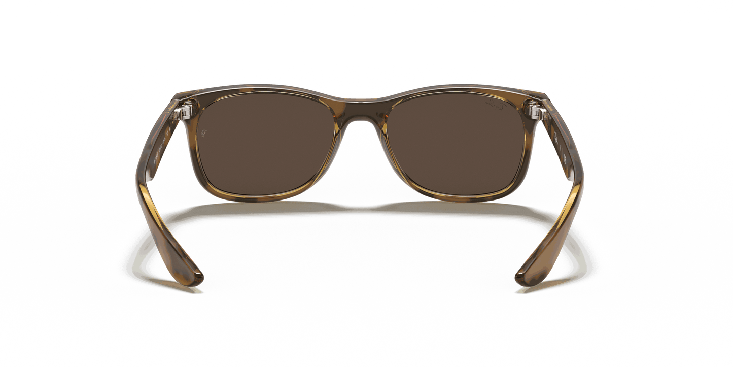 [Dark Brown Lenses, Polished Havana Frame]