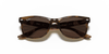 [Dark Brown Lenses, Polished Havana Frame]