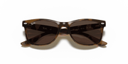 Dark Brown Lenses, Polished Havana Frame