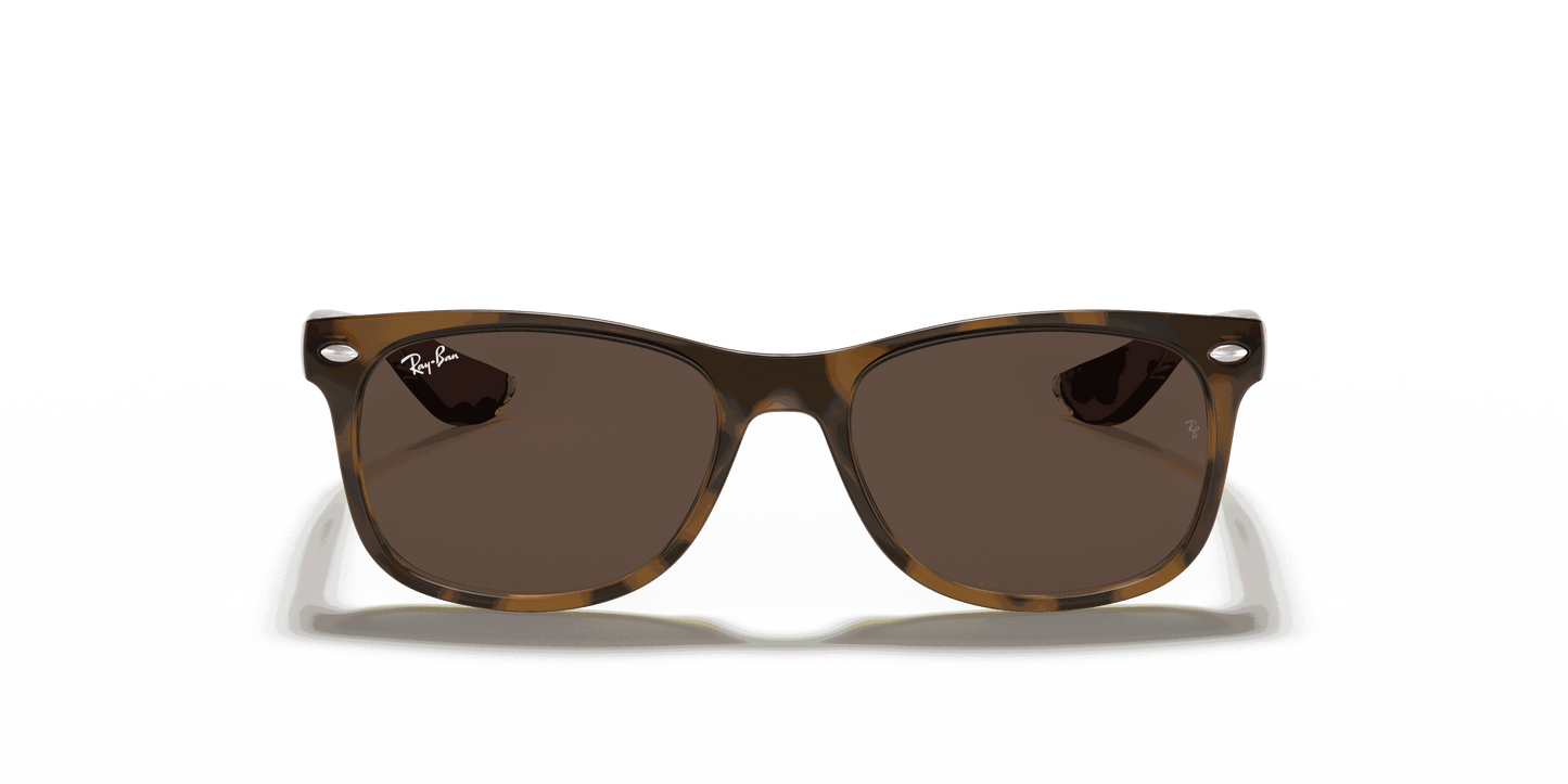 [Dark Brown Lenses, Polished Havana Frame]
