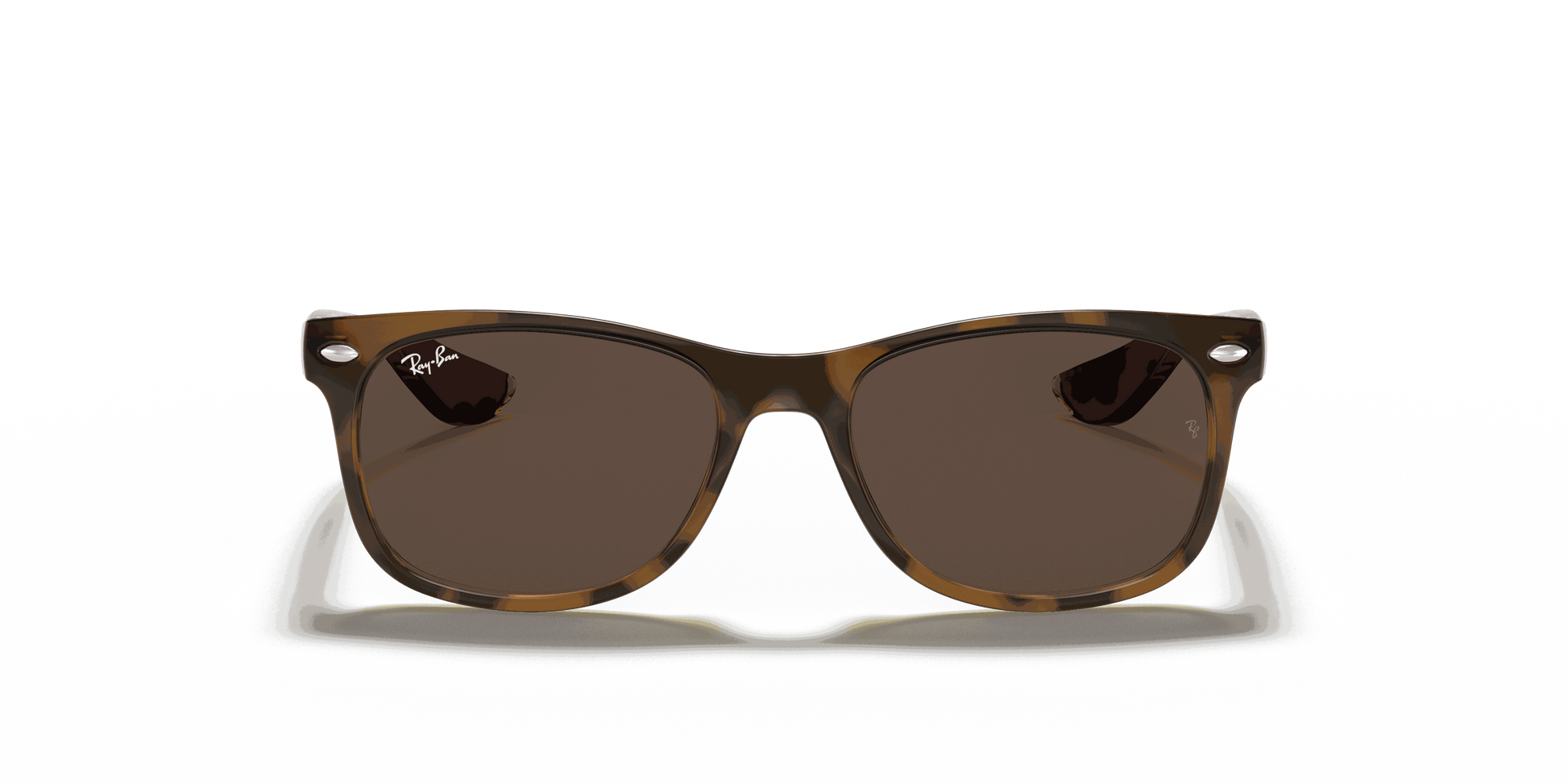 [Dark Brown Lenses, Polished Havana Frame]