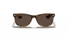 [Dark Brown Lenses, Polished Havana Frame]