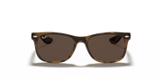 Dark Brown Lenses, Polished Havana Frame