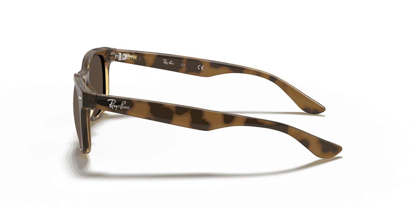 [Dark Brown Lenses, Polished Havana Frame]