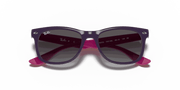 Light Grey/Dark Grey Lenses, Polished Violet Frame