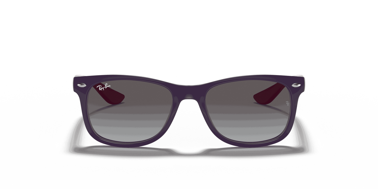[Light Grey/Dark Grey Lenses, Polished Violet Frame]