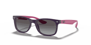 Light Grey/Dark Grey Lenses, Polished Violet Frame