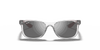 [Grey/Silver Lenses, Polished Transparent Grey Frame]