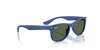 [Dark Green Lenses, Polished Rubber Blue Frame]